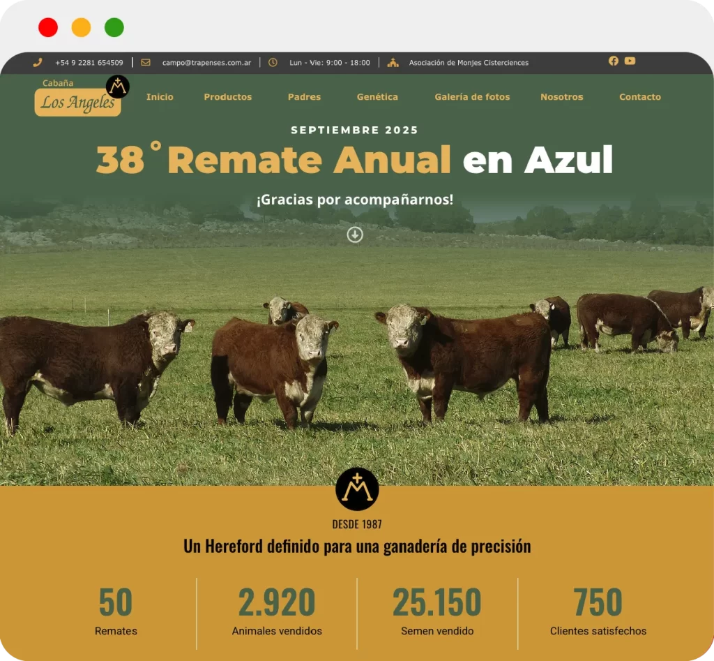 Mirá la web de Cabaña Los Angeles